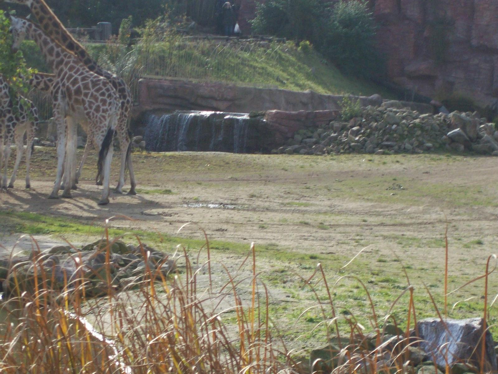 Zoom 18.10.2008-127.jpg
